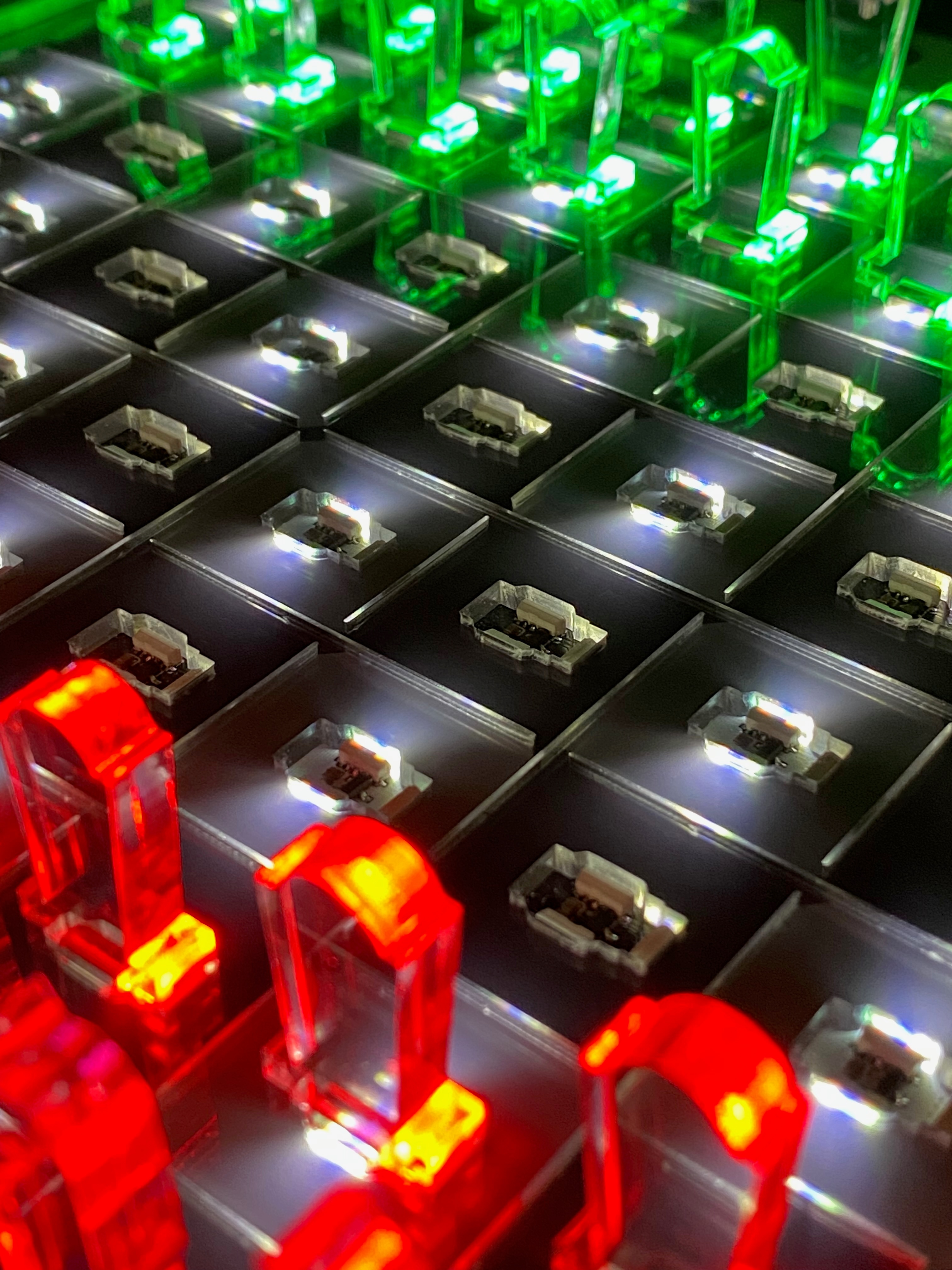 Litch prototype photo 13